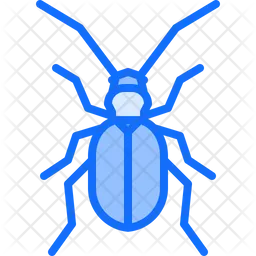 Beetle  Icon