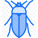 Bug Insect Beetle Icon
