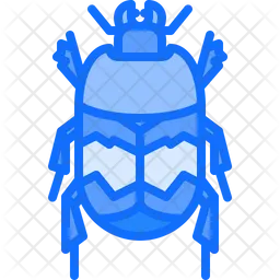 Beetle  Icon