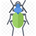 Insect Beetle Bug Icon