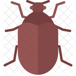 Beetle  Icon