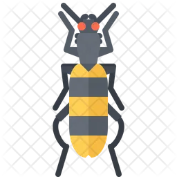 Beetle  Icon