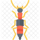 Orthopod Beetle Bug Icon