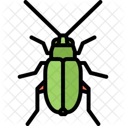 Beetle  Icon