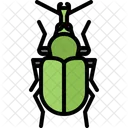 Beetle  Icon