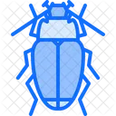 Beetle  Icon