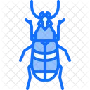 Beetle  Icon