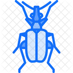 Beetle  Icon