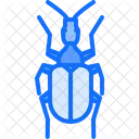 Beetle  Icon