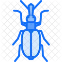 Beetle  Icon