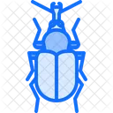 Beetle  Icon