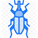 Beetle  Icon