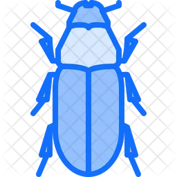 Beetle  Icon