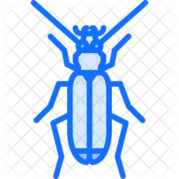 Beetle  Icon