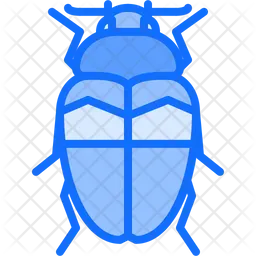 Beetle  Icon