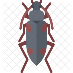 Beetle  Icon