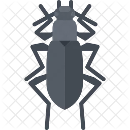 Beetle  Icon