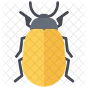 Beetle  Icon