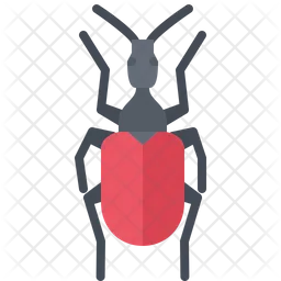 Beetle  Icon