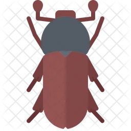 Beetle  Icon