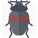 Beetle  Icon