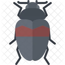 Beetle  Icon