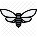 Beetle Bug Insect Icon