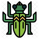 Beetle  Icon