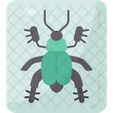Beetle Insect Arthropod Icon