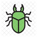 Beetle Bug Insect Icon