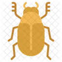 Beetle  Icon