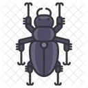 Beetle  Icon
