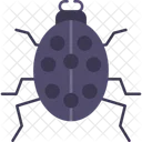 Beetle  Symbol