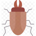 Beetle  Symbol