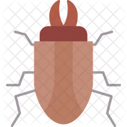 Beetle  Icon