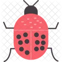 Beetle  Symbol