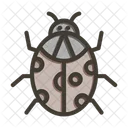 Beetle  Icon