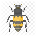 Ladybug Beetle Bug Icon