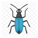 Ladybug Beetle Bug Icon