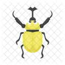 Ladybug Beetle Bug Icon