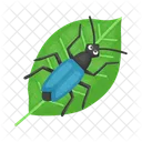 Ladybug Beetle Bug Icon
