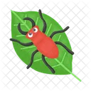 Ladybug Beetle Bug Icon