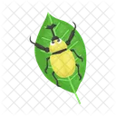 Ladybug Beetle Bug Icon