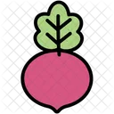 Beetroot Grocery Ingredient Icon