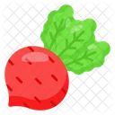 Beetroot Healthy Food Icon