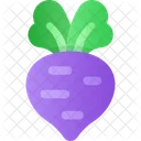 Beetroot  Icon