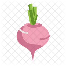 Beetroot  Icon