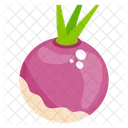 Beetroot Vegetable Food Icon
