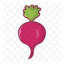 Beetroot Turnip Vegetable Icon