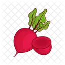 Beetroot Tuber Red Potato Icon